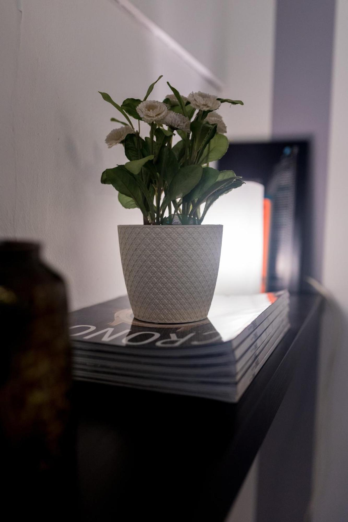 Inmyhome Pedro Antonio Pangsapuri Granada